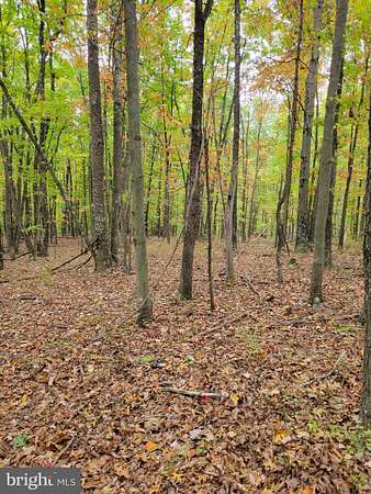 2.53 Acres of Residential Land for Sale in Delray, West Virginia