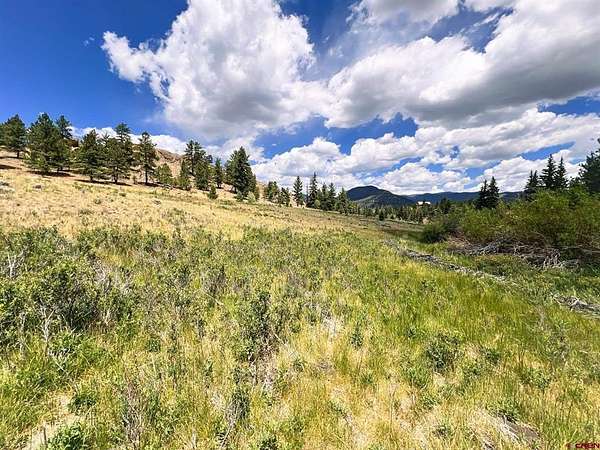 1.17 Acres of Residential Land for Sale in South Fork, Colorado