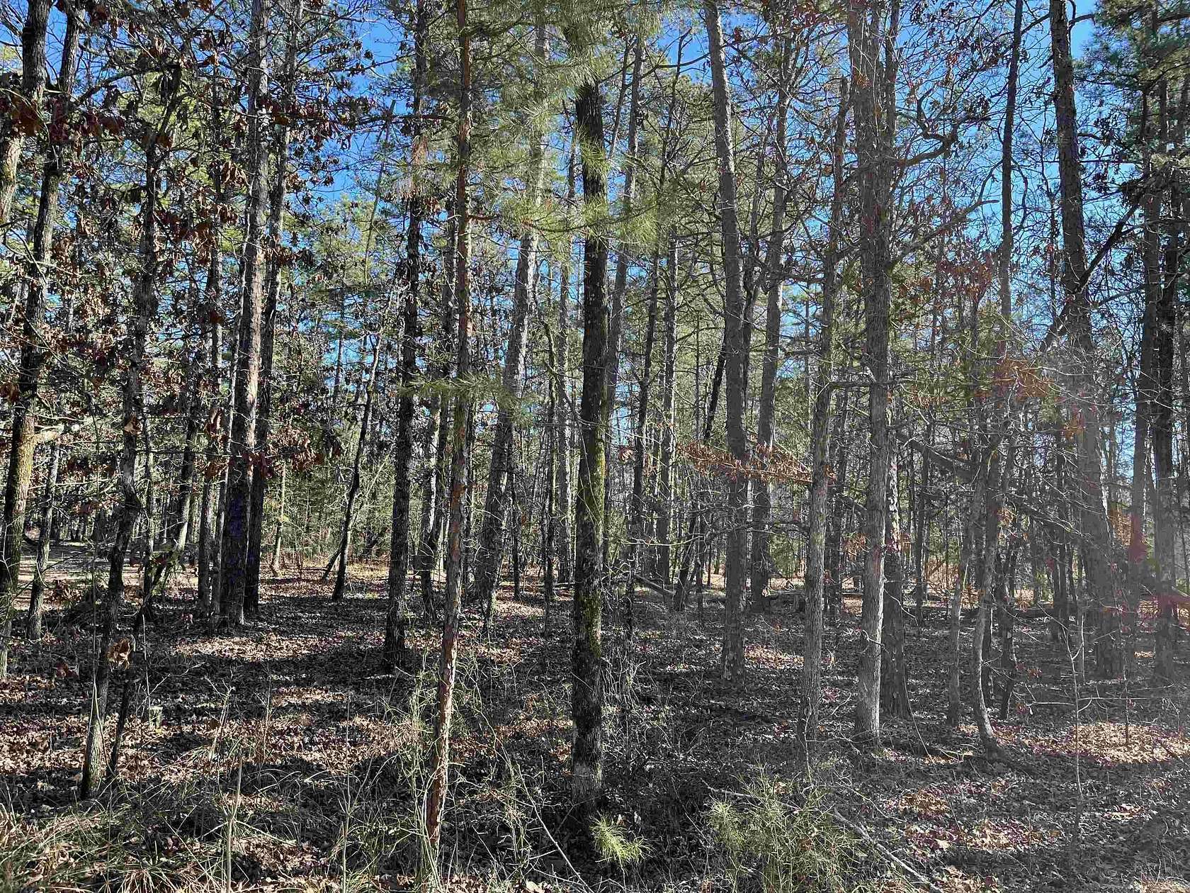 0.27 Acres of Residential Land for Sale in Hot Springs Village, Arkansas