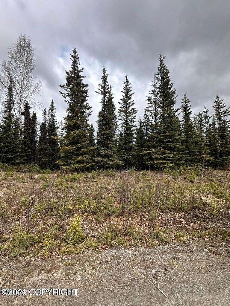 1.62 Acres of Residential Land for Sale in Sterling, Alaska