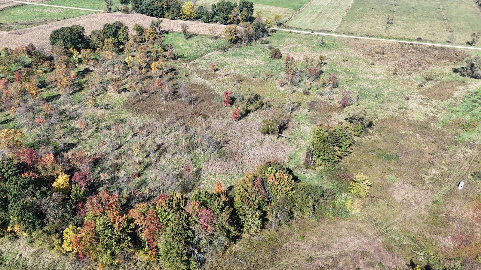 40 Acres of Recreational & Residential Land for Sale in Vandalia, Michigan