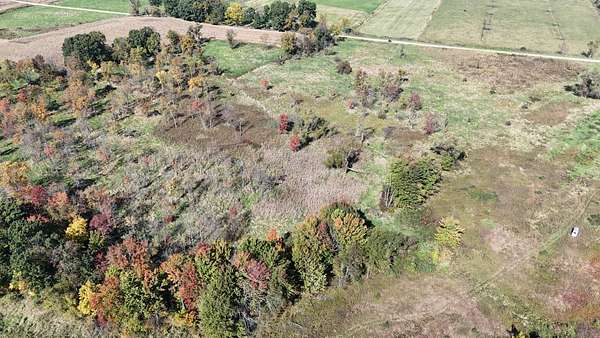 40 Acres of Recreational & Residential Land for Sale in Vandalia, Michigan