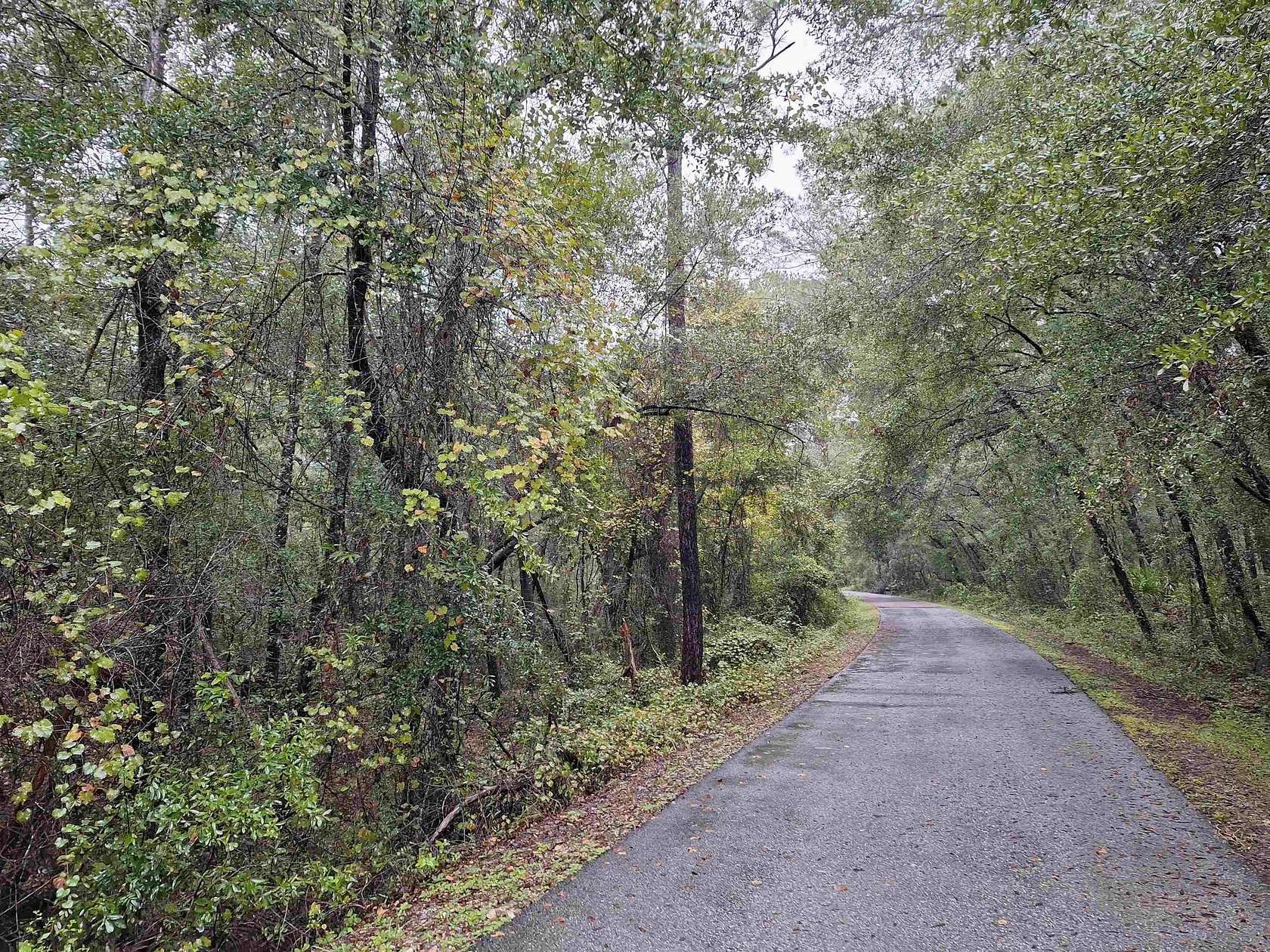 1.25 Acres of Land for Sale in Florahome, Florida