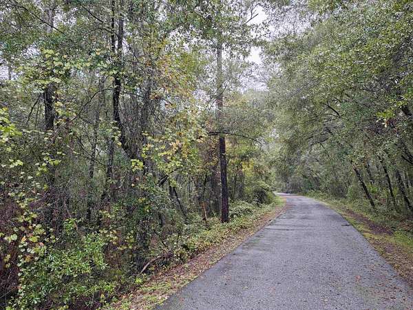 1.25 Acres of Land for Sale in Florahome, Florida