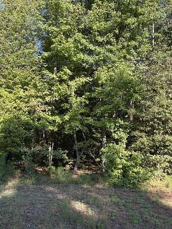 0.24 Acres of Land for Sale in Reedville, Virginia