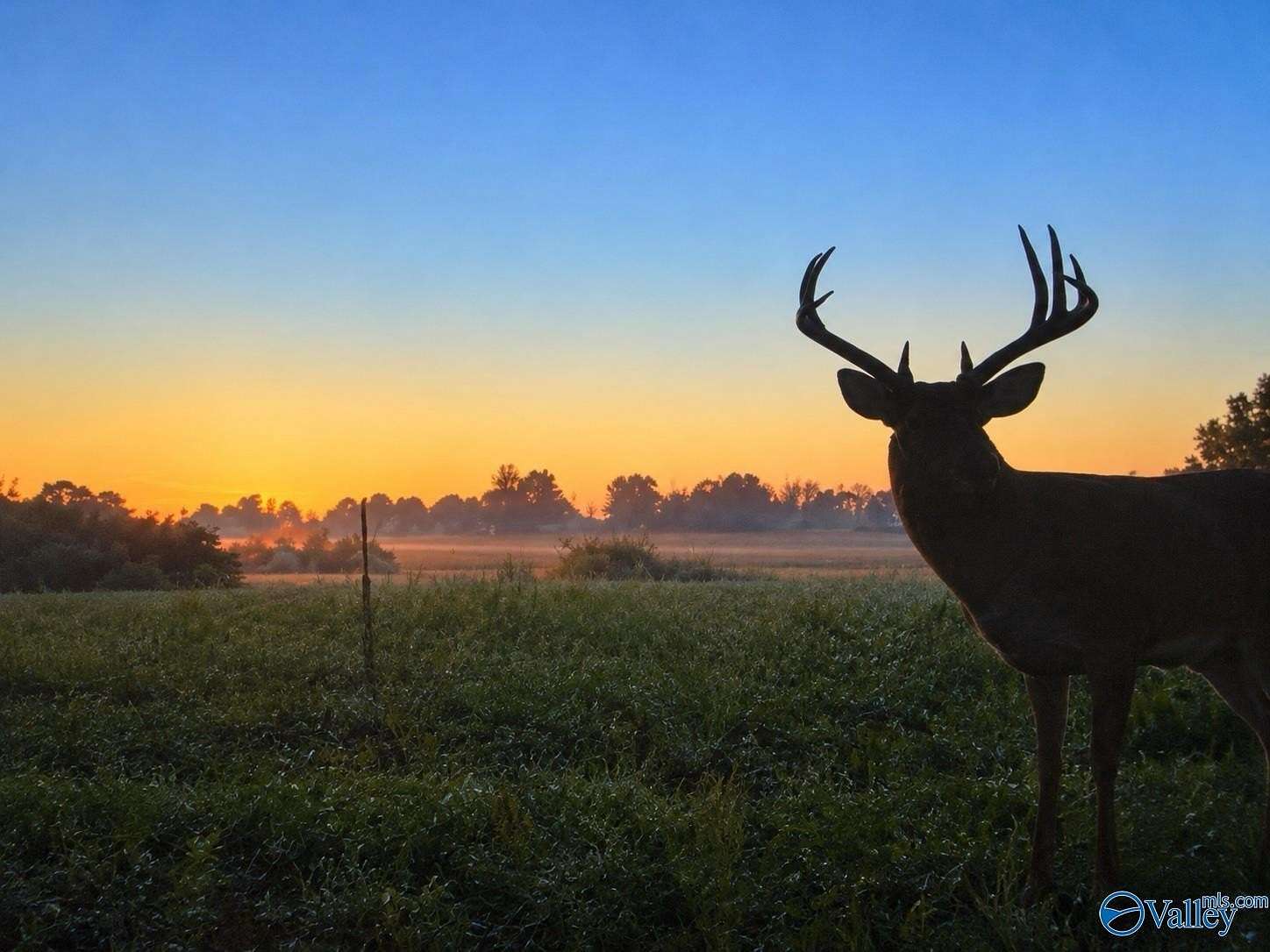 25 Acres of Recreational Land for Sale in Hazel Green, Alabama