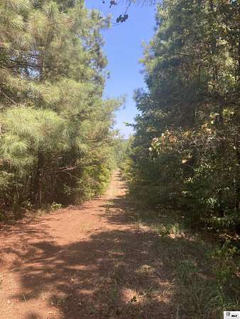 56 Acres of Land for Sale in Homer, Louisiana