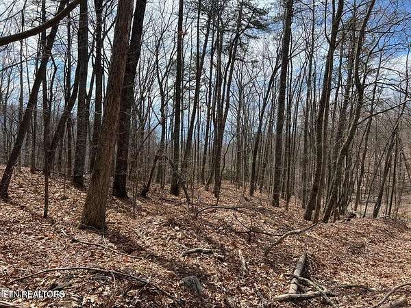 0.37 Acres of Residential Land for Sale in Sevierville, Tennessee