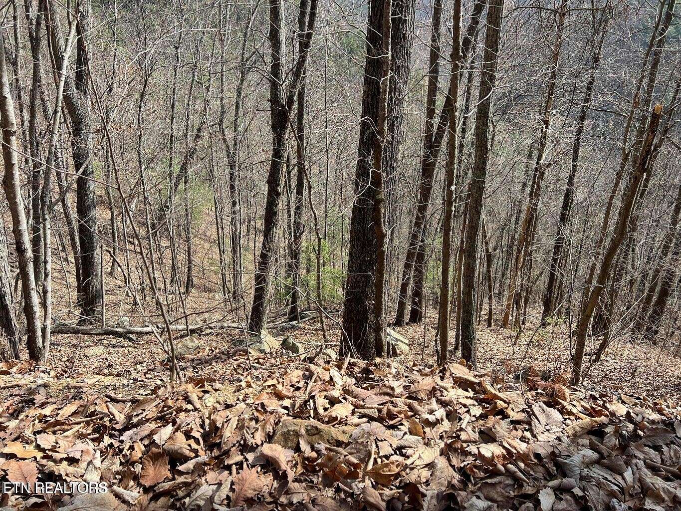 0.37 Acres of Residential Land for Sale in Sevierville, Tennessee