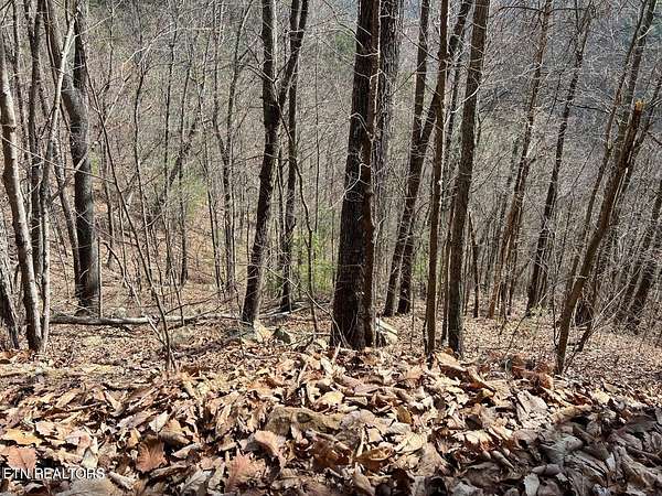 0.37 Acres of Residential Land for Sale in Sevierville, Tennessee