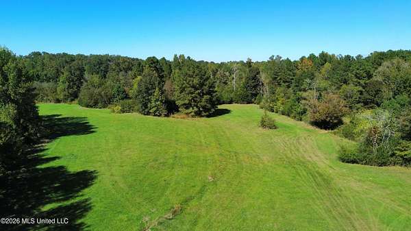 72 Acres of Land for Sale in Lena, Mississippi