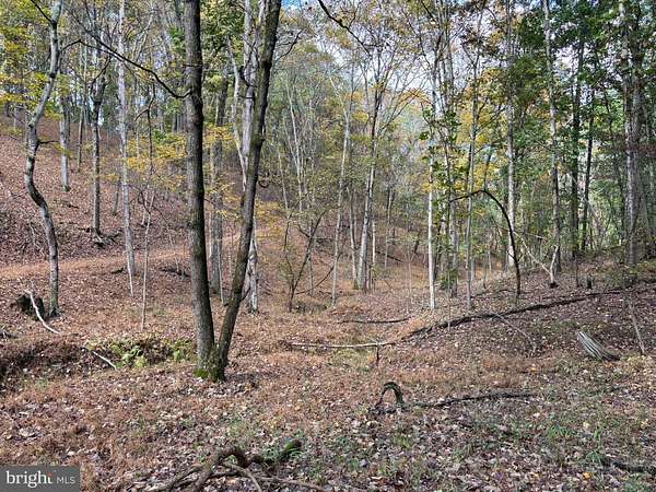 49.8 Acres of Recreational Land for Sale in Fort Ashby, West Virginia
