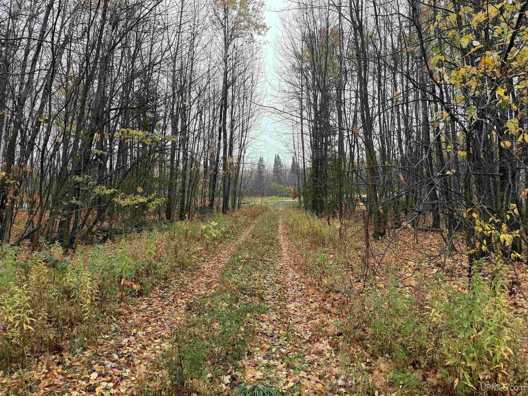 40 Acres of Recreational & Residential Land for Sale in Knight Town, Wisconsin
