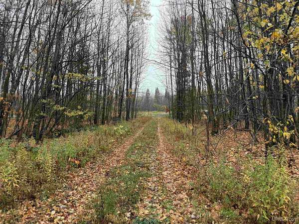 40 Acres of Recreational & Residential Land for Sale in Knight Town, Wisconsin