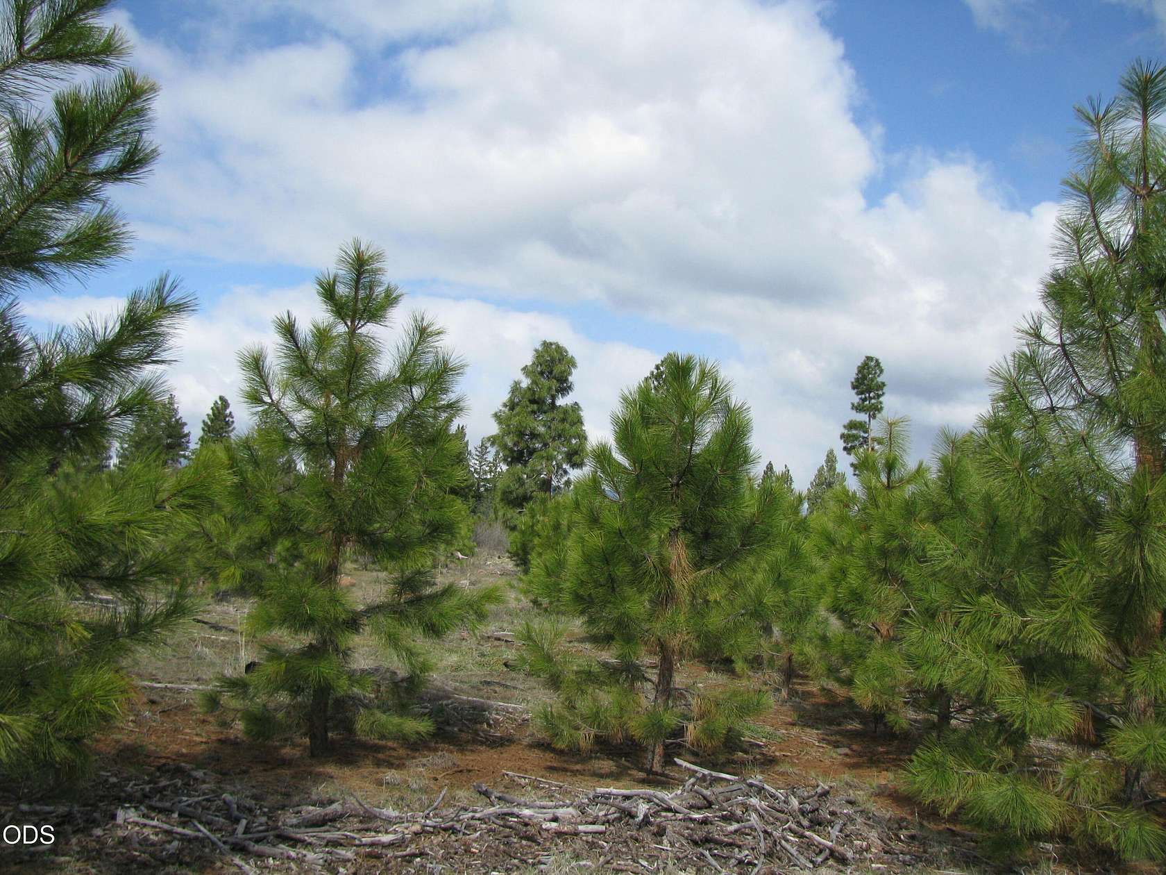 120 Acres of Recreational Land for Sale in Klamath Falls, Oregon