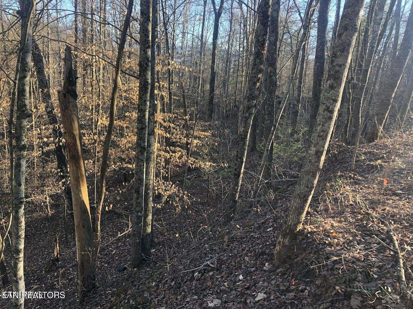 1.47 Acres of Residential Land for Sale in Sevierville, Tennessee
