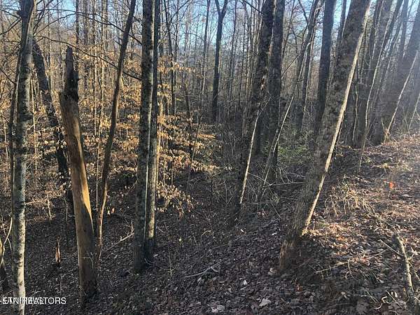 1.47 Acres of Residential Land for Sale in Sevierville, Tennessee
