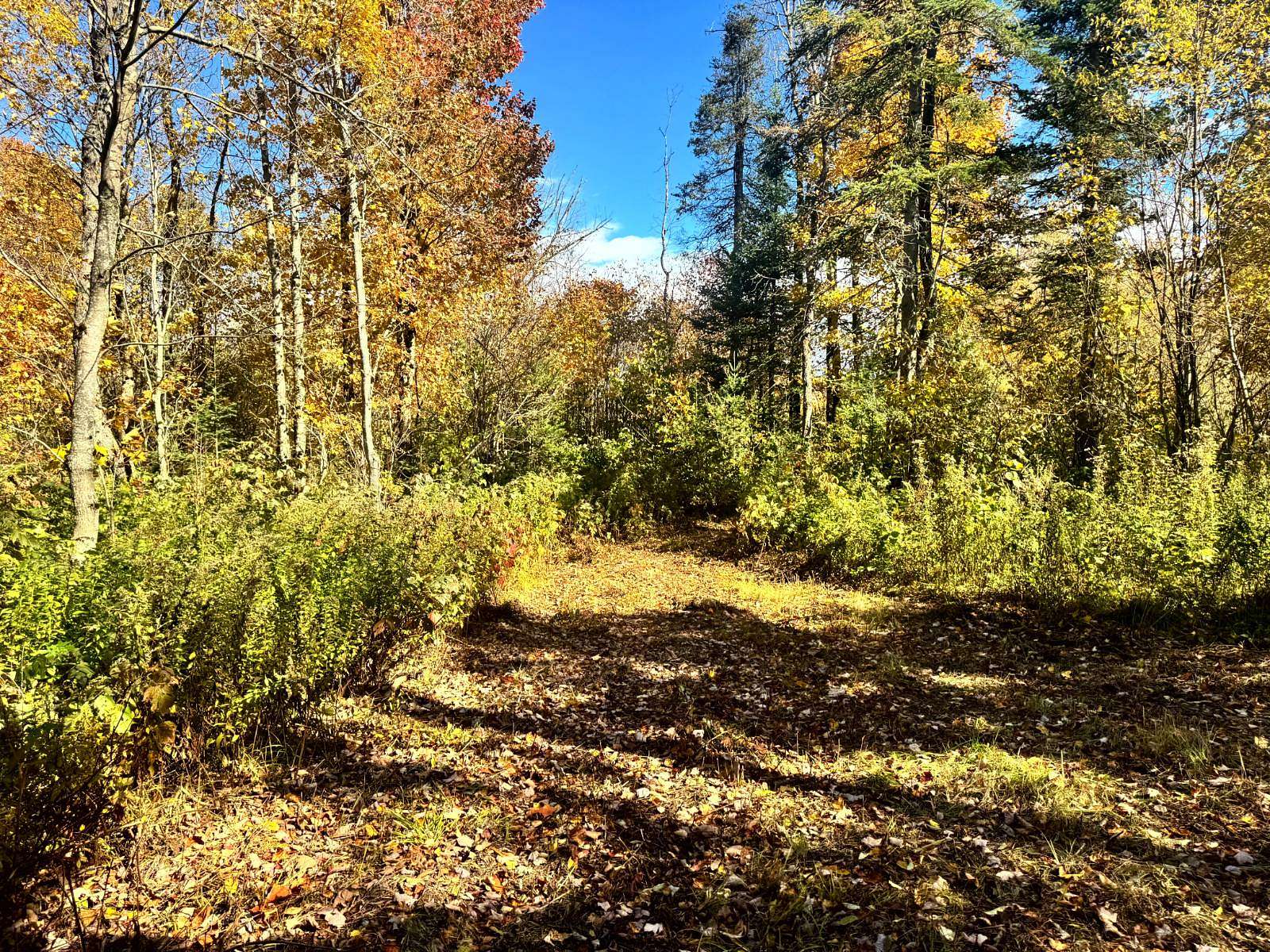5.37 Acres of Recreational Land for Sale in West Turin Town, New York