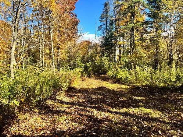5.37 Acres of Recreational Land for Sale in West Turin Town, New York