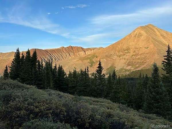 163 Acres of Land for Sale in Fairplay, Colorado