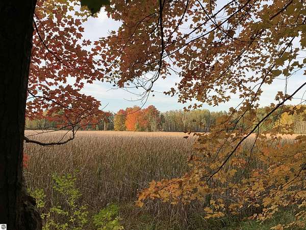 46.3 Acres of Land for Sale in Lake, Michigan