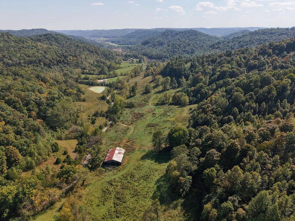 91.6 Acres of Land for Sale in Vanceburg, Kentucky