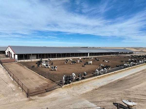 157 Acres of Agricultural Land for Sale in Beaver City, Nebraska