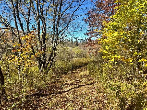 5.23 Acres of Land for Sale in West Turin Town, New York