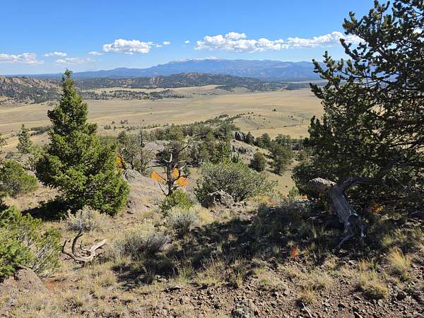 40 Acres of Recreational Land for Sale in Guffey, Colorado
