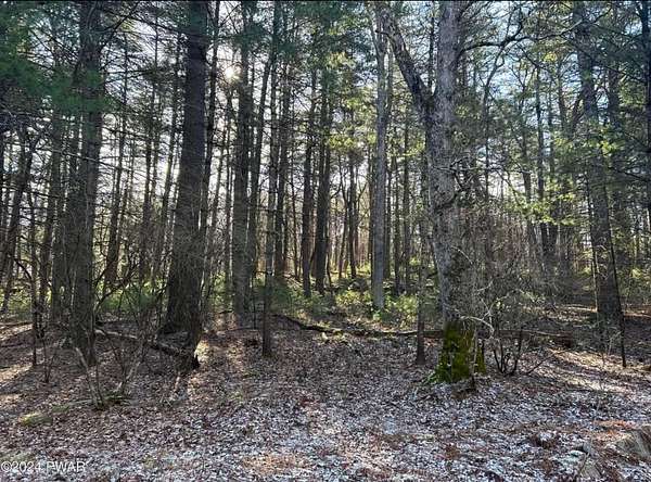 2 Acres of Residential Land for Sale in Dingmans Ferry, Pennsylvania