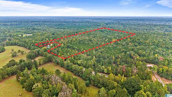41 Acres of Agricultural Land for Sale in Banks, Alabama