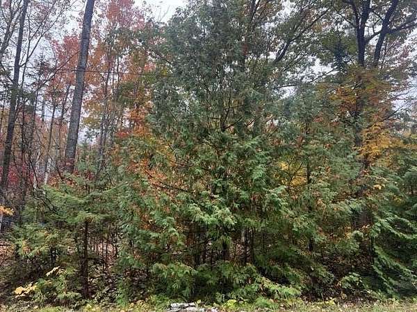 0.53 Acres of Land for Sale in Presque Isle, Michigan