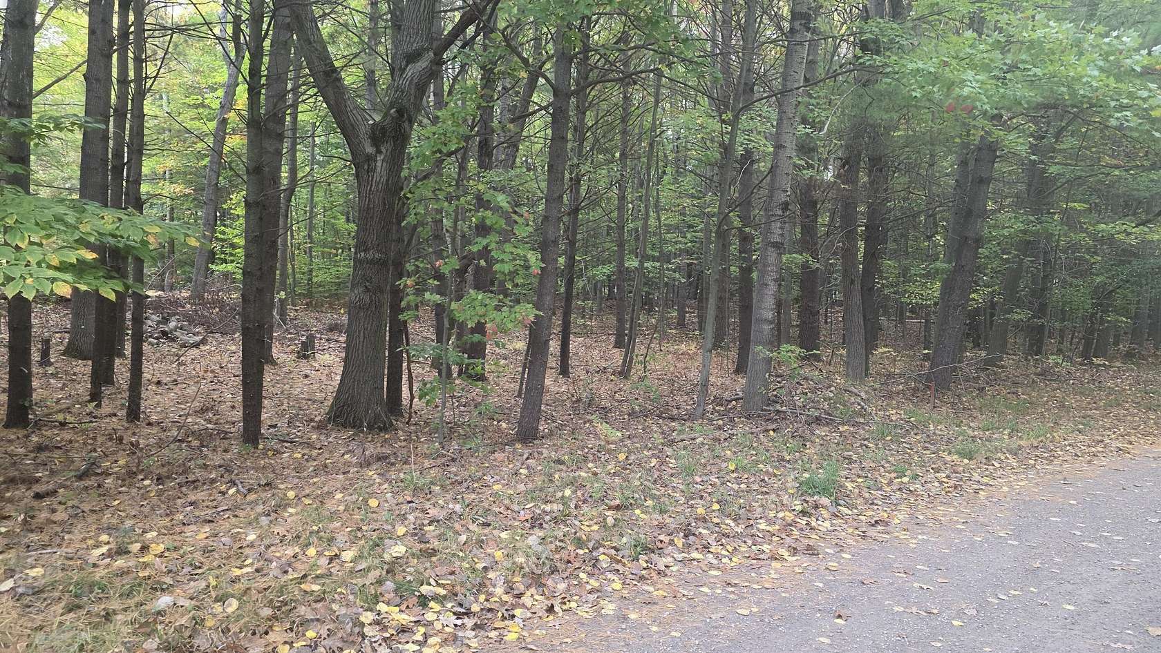 0.37 Acres of Land for Sale in Ludington, Michigan
