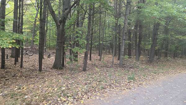 0.37 Acres of Land for Sale in Ludington, Michigan