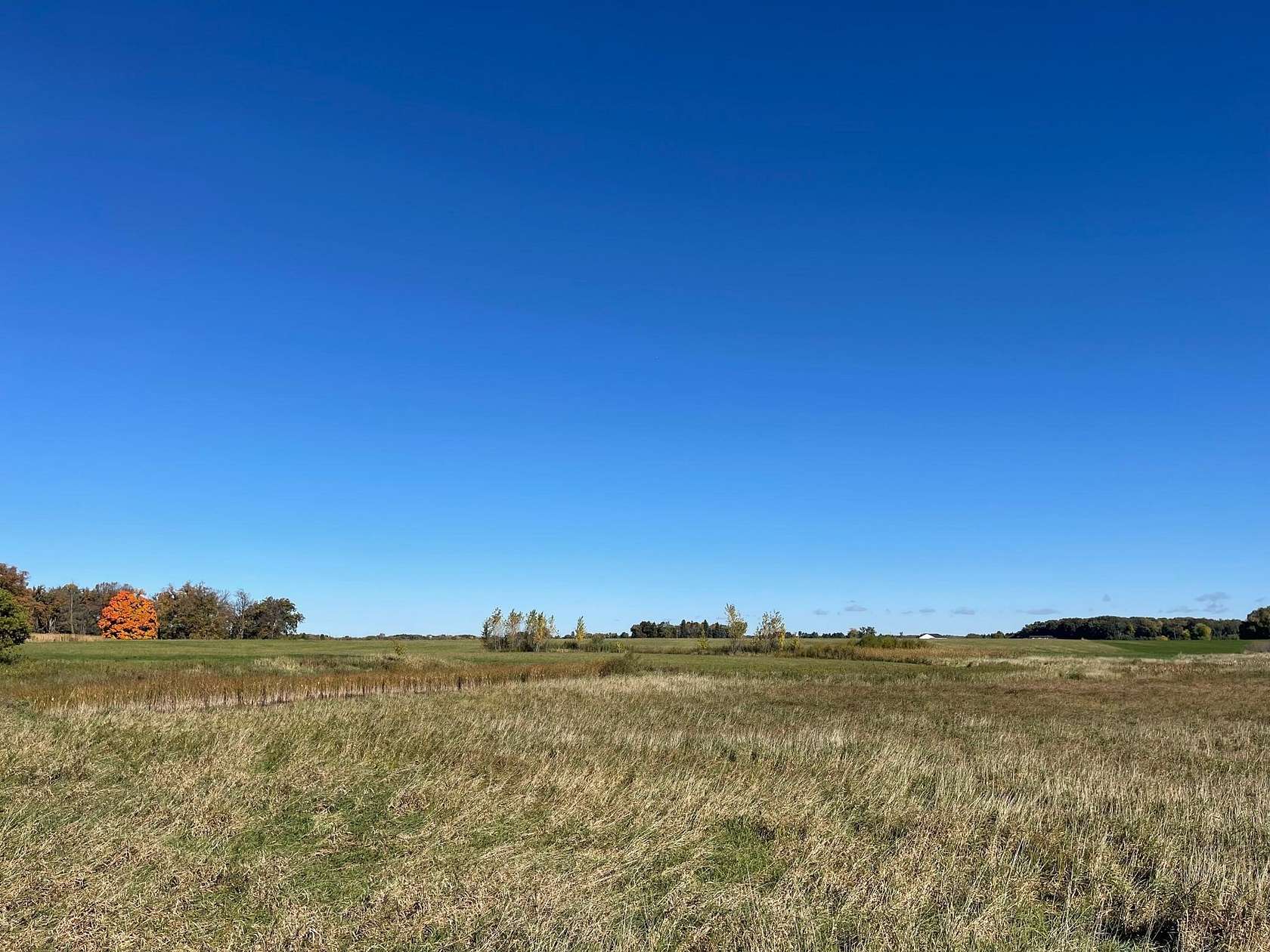 29.1 Acres of Land for Sale in Princeton, Minnesota