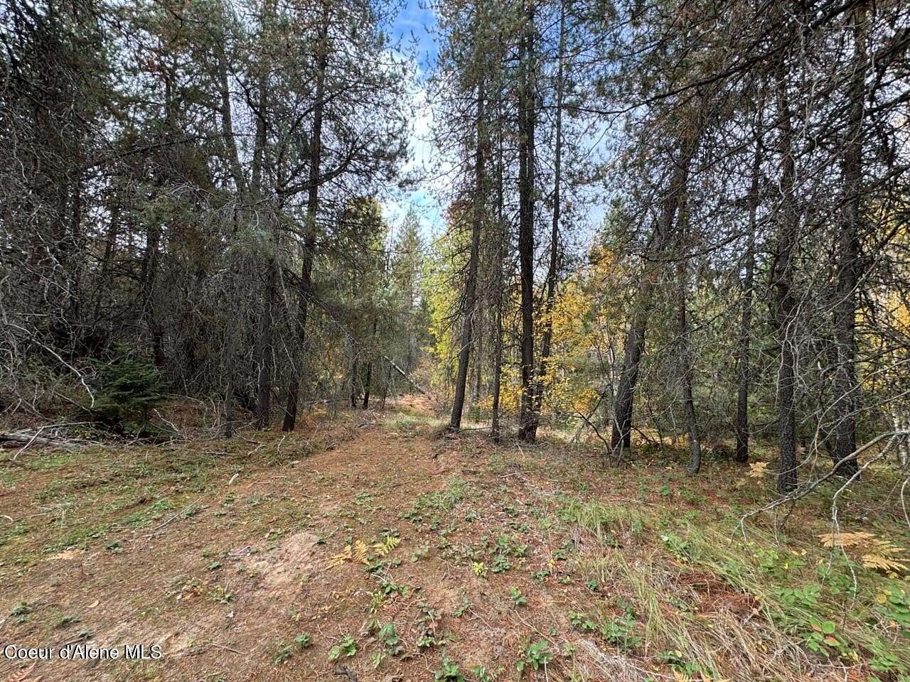 9.9 Acres of Residential Land for Sale in Sandpoint, Idaho