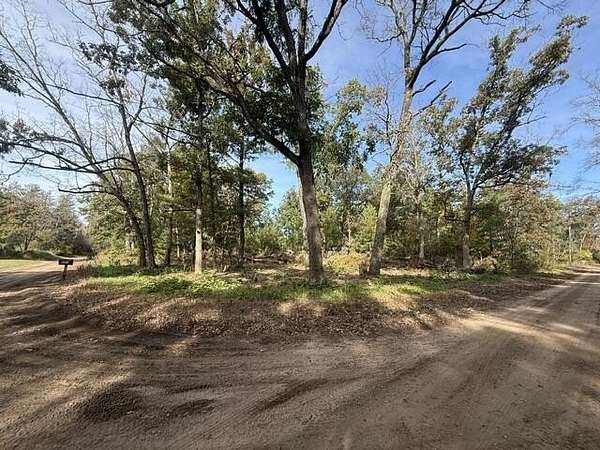 0.28 Acres of Land for Sale in Baldwin, Michigan
