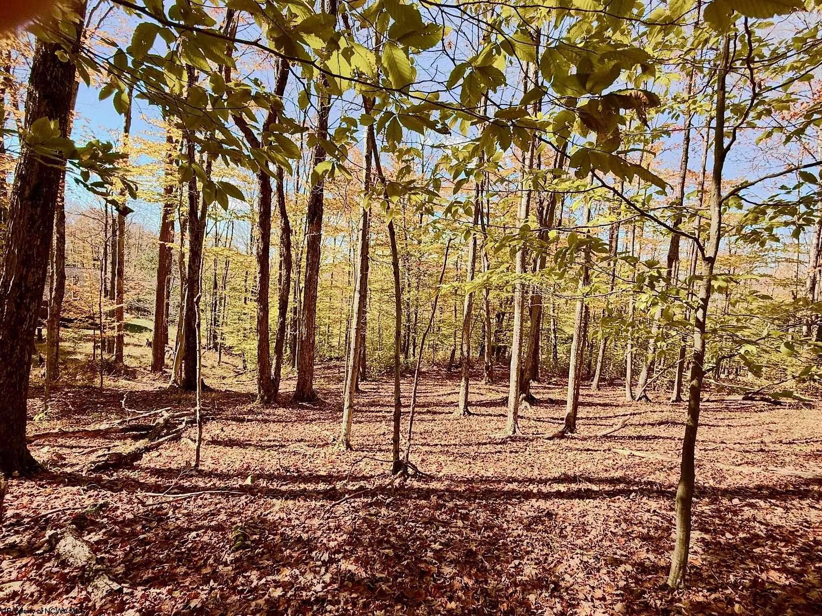 2.22 Acres of Residential Land for Sale in Davis, West Virginia