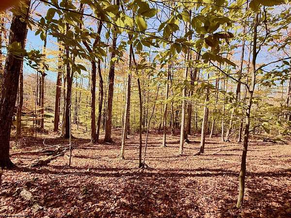 2.22 Acres of Residential Land for Sale in Davis, West Virginia