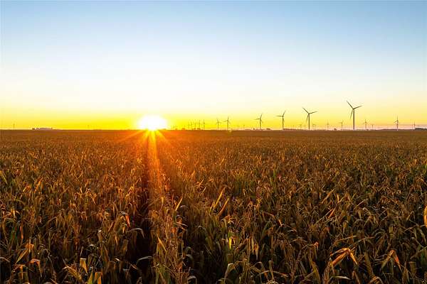 3,071 Acres of Agricultural Land for Auction in Osage, Iowa