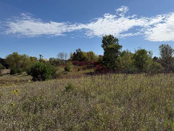 2 Acres of Residential Land for Sale in Webster, Minnesota