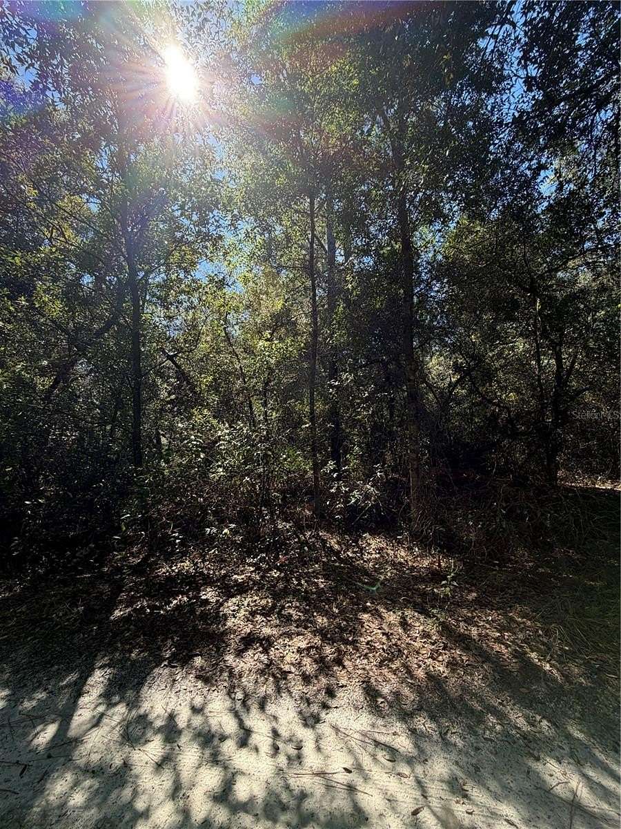 1.25 Acres of Residential Land for Sale in Dunnellon, Florida