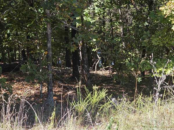 0.27 Acres of Residential Land for Sale in Cherokee Village, Arkansas