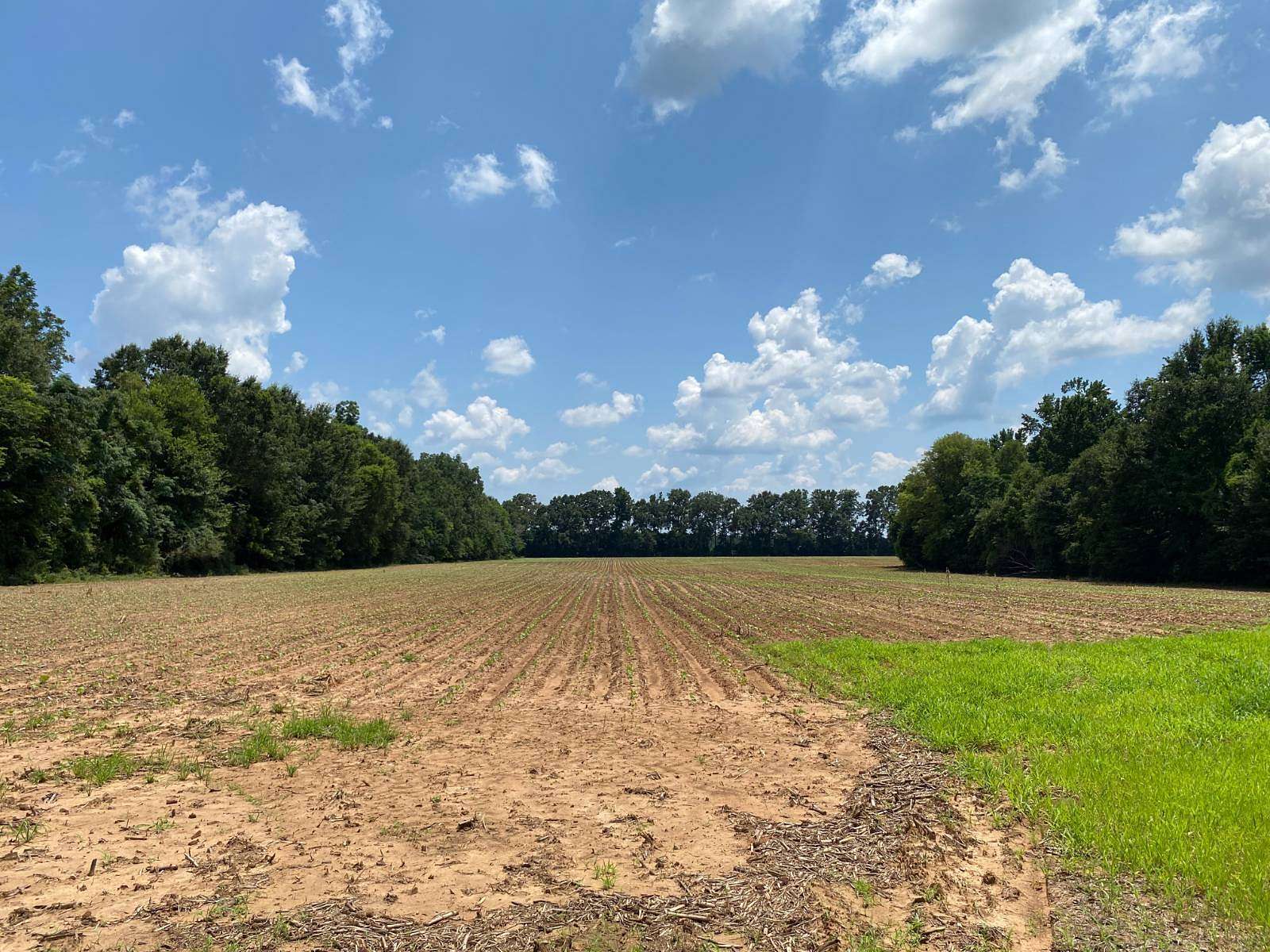 20 Acres of Land for Sale in Atmore, Alabama