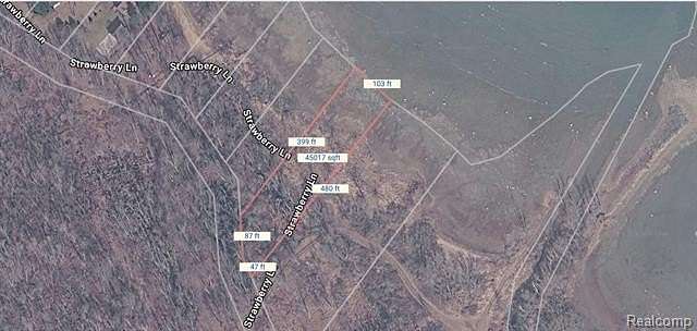 1 Acre of Residential Land for Sale in Rubicon Township, Michigan