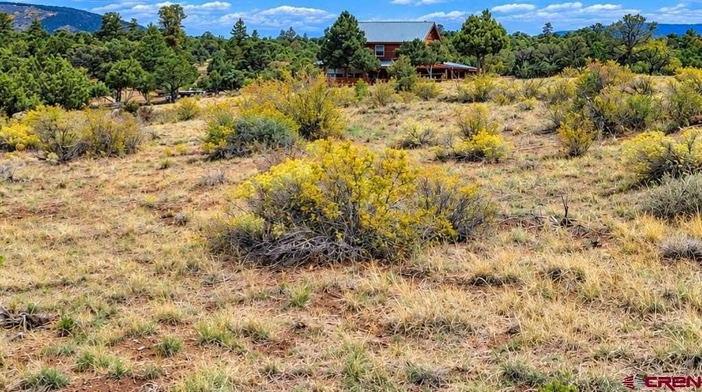0.68 Acres of Land for Sale in South Fork, Colorado