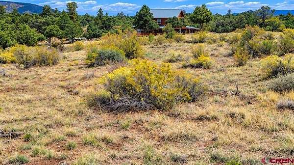 0.68 Acres of Land for Sale in South Fork, Colorado