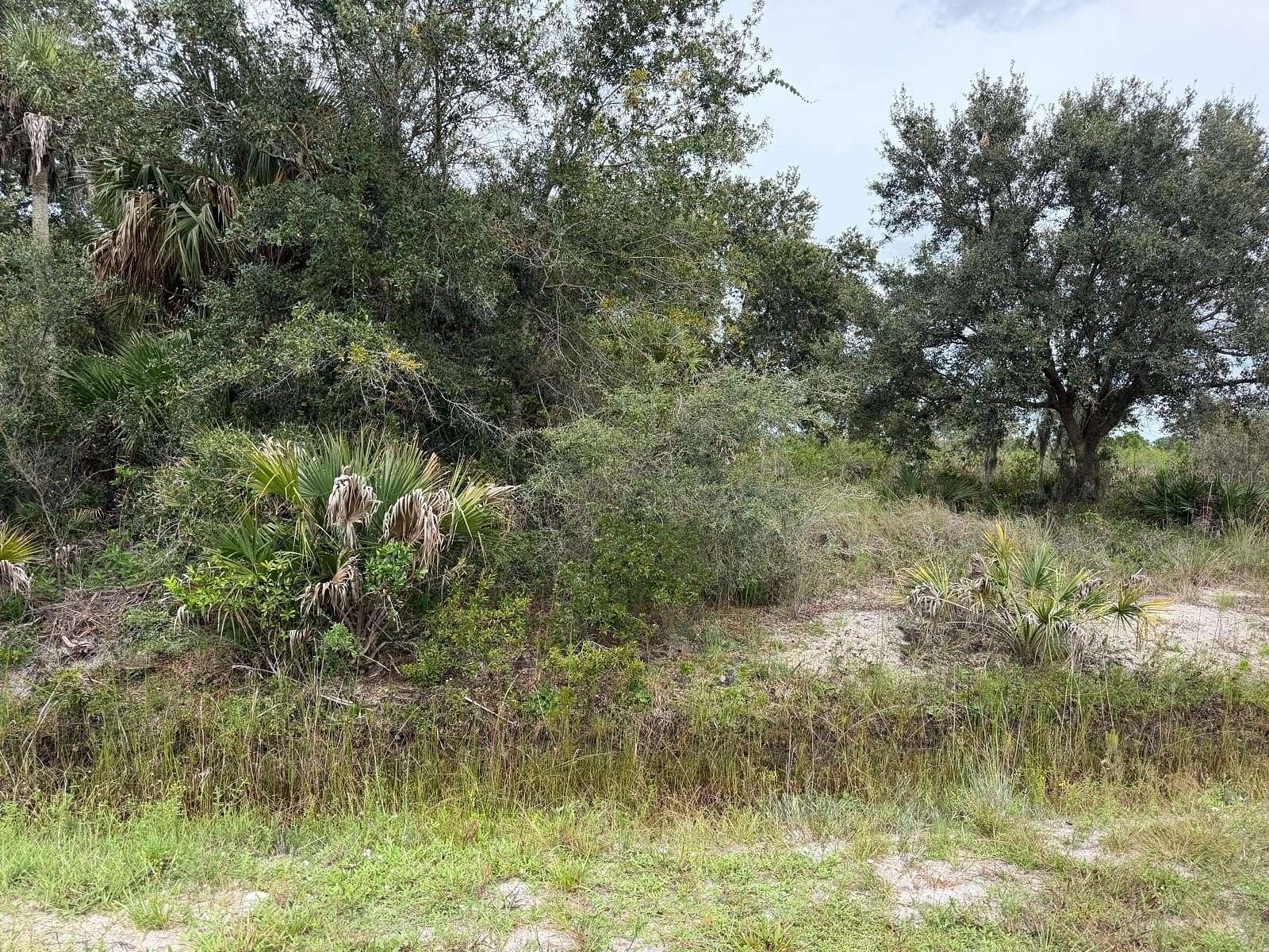 1.25 Acres of Residential Land for Sale in Okeechobee, Florida