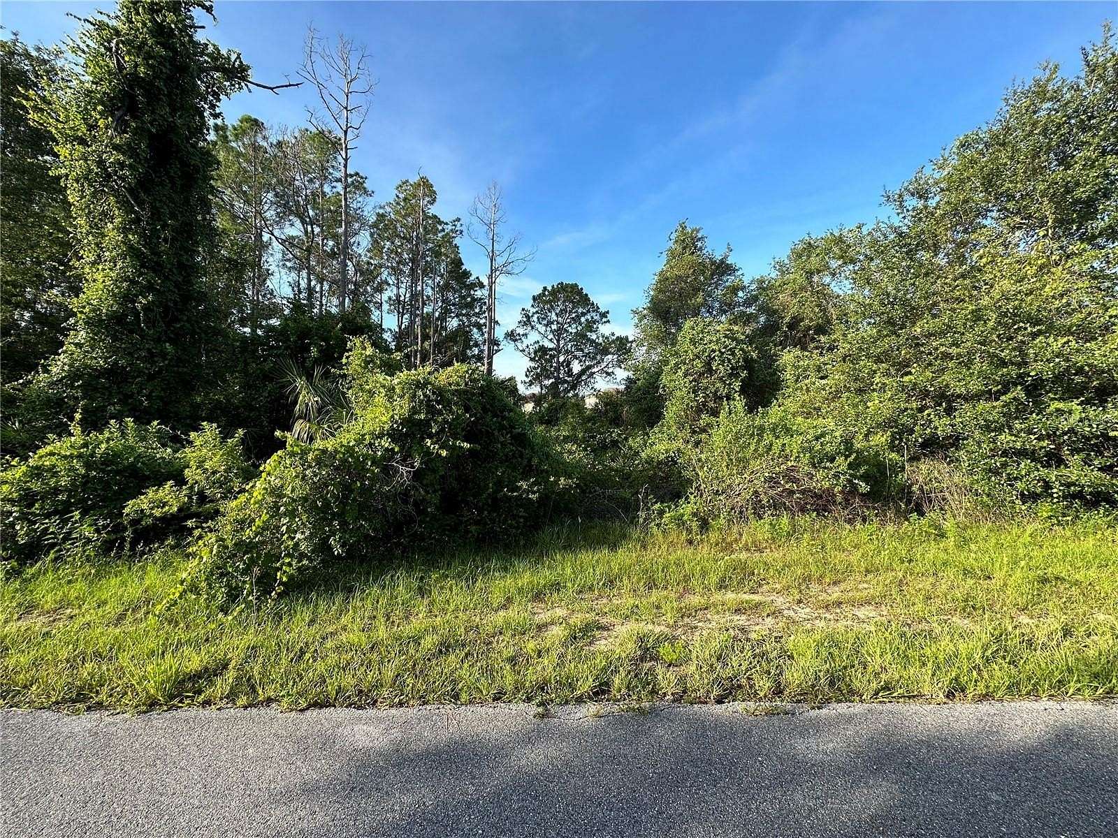 0.19 Acres of Residential Land for Sale in Poinciana, Florida