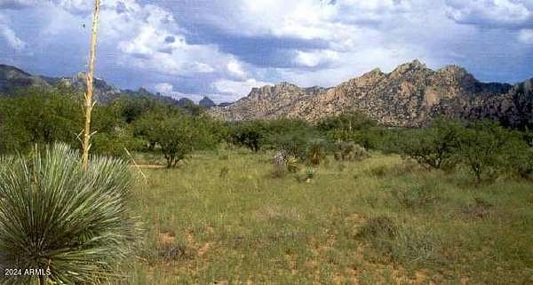 36.1 Acres of Recreational Land for Sale in St. David, Arizona